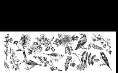 Flowering branches and birds drawings collection. Vintage cherry, almond, willow, rowan, currant flowers sketches set. Botanical vector illustrations of spring blooming trees isolated white background
